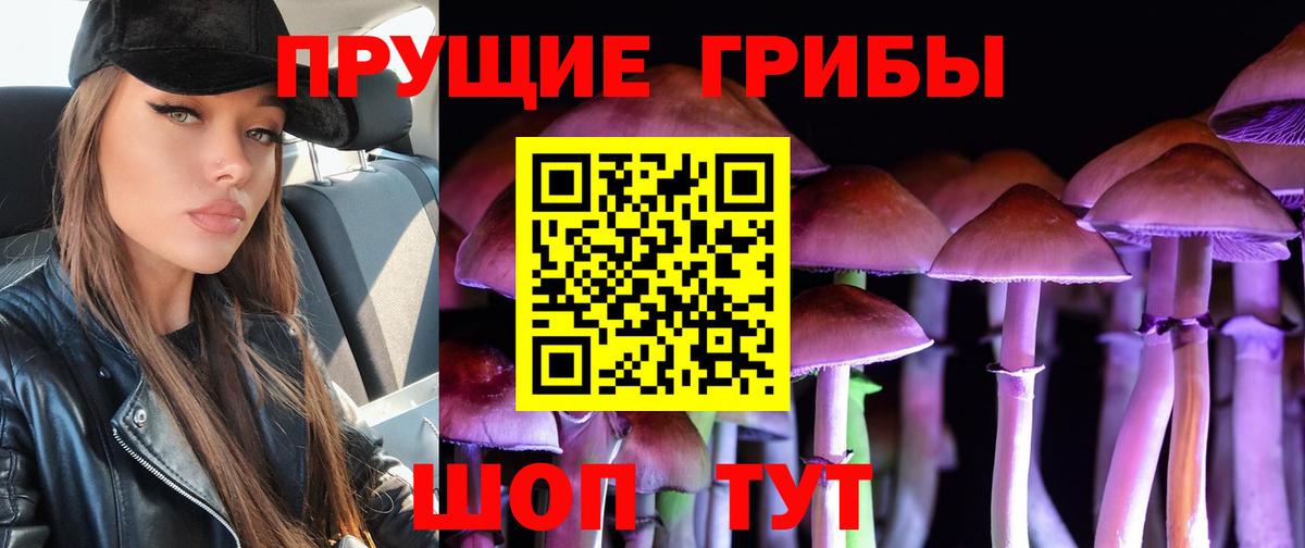 Галлюциногенные грибы MAGIC MUSHROOMS  Псилоцибиновые грибы GOLDEN TEACHER  Вход с VPN  Подольск 