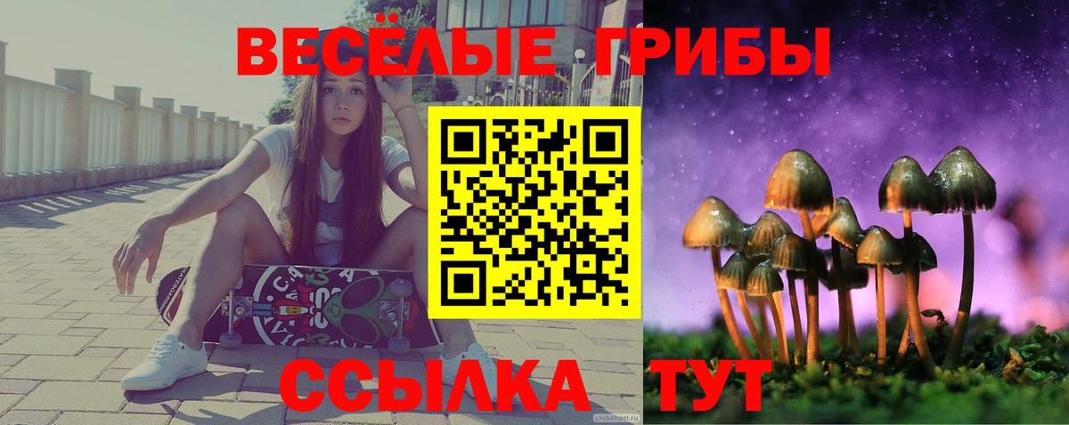 Псилоцибиновые грибы Magic Shrooms Подольск